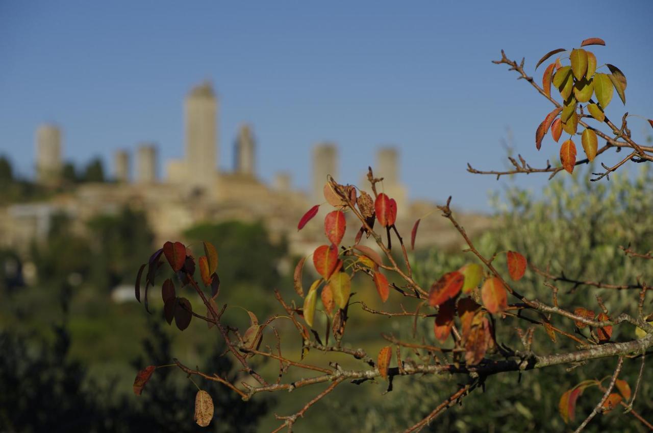Il Borgo Antico Apartment San Gimignano Bilik gambar